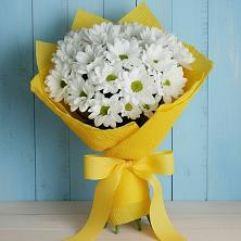 Букет цветов из:  Хризантемы в Гиагинской