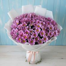 Букет цветов из:  Хризантемы #REPLACE_PRED# Гиагинской