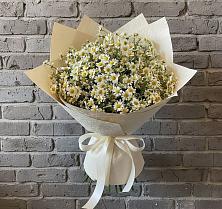 Букет цветов из:  Ромашки в Гиагинской