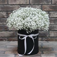 Цветочная композиция из Гипсофила в шляпной коробке в Гиагинской