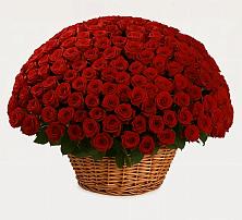 Премиум букет из: Розы в Гиагинской